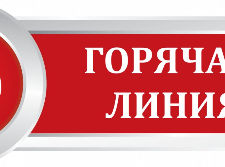 В Ульяновской области запустят «горячую линию» по вопросам избирательного права