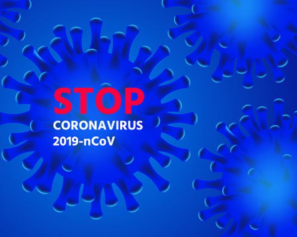 Юристы Ульяновска создали электронную библиотеку по коронавирусу