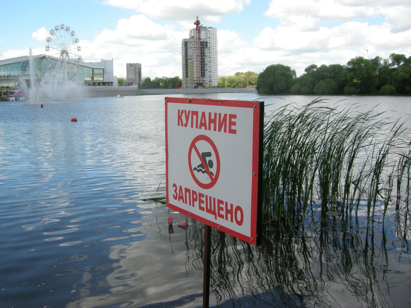 Купаться запрещено, но все равно купаются: в Ульяновске проверили «безопасность детства»