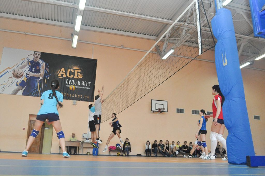 Региональное отделение АЮР провело традиционный турнир по волейболу
