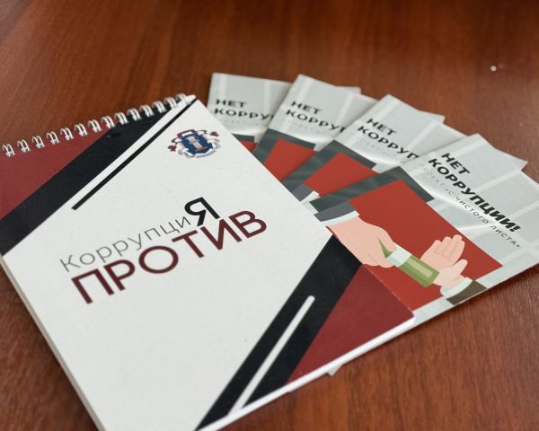 Экспертиза на результат: антикоррупционные успехи Ульяновского регионального отделения АЮР