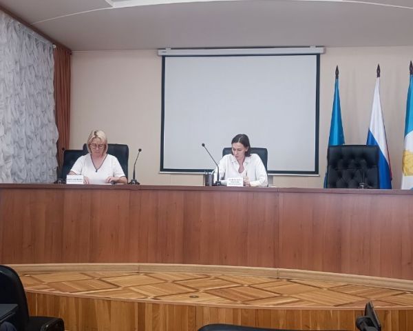 На заседании Комиссии обсудили план нормотворческой деятельности города Ульяновска