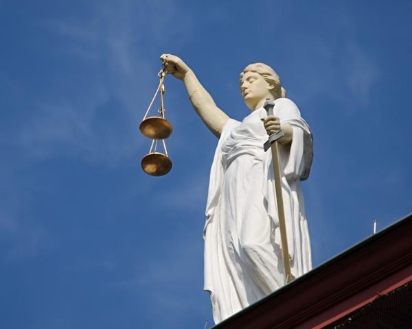 О вступлении в права наследства и оформлении в собственность земельного участка: подборка успешных дел Ульяновских юристов