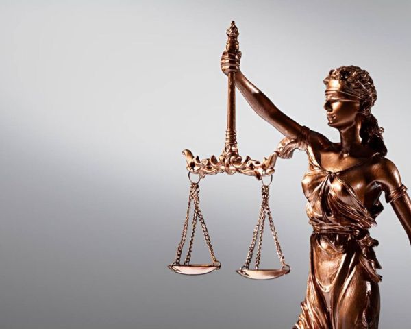 О взыскании алиментов, оформлении земельного участка и помощи многодетным семьям: подборка успешных дел Ульяновских юристов