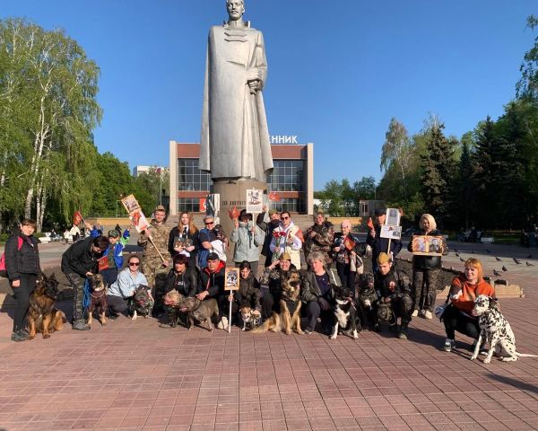 Они тоже сражались за Родину: в Ульяновске почтили память четвероногих героев Великой Отечественной войны
