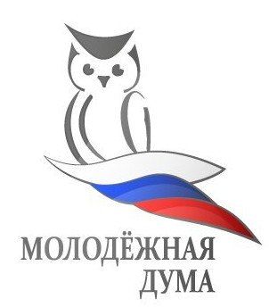 20 декабря 2013 года – выборы депутатов Молодежной Думы г. Ульяновска