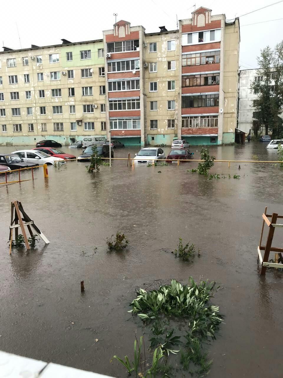 Погода в димитровграде по часам