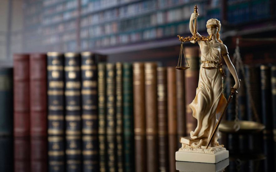 Признание недееспособным, взыскание алиментов и защита приватизированного жилья: подборка успешных дел Ульяновских юристов