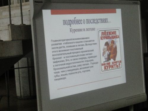 В УлГПУ отпраздновали День студента В УлГПУ отпраздновали День студента