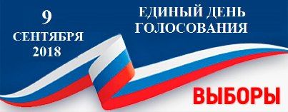 Выборы: «горячая линия» уполномоченного Выборы: «горячая линия» уполномоченного
