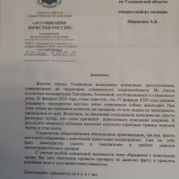 собака